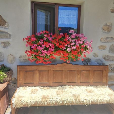 Hotel Радкината Къща à Koprivchtitsa Extérieur photo
